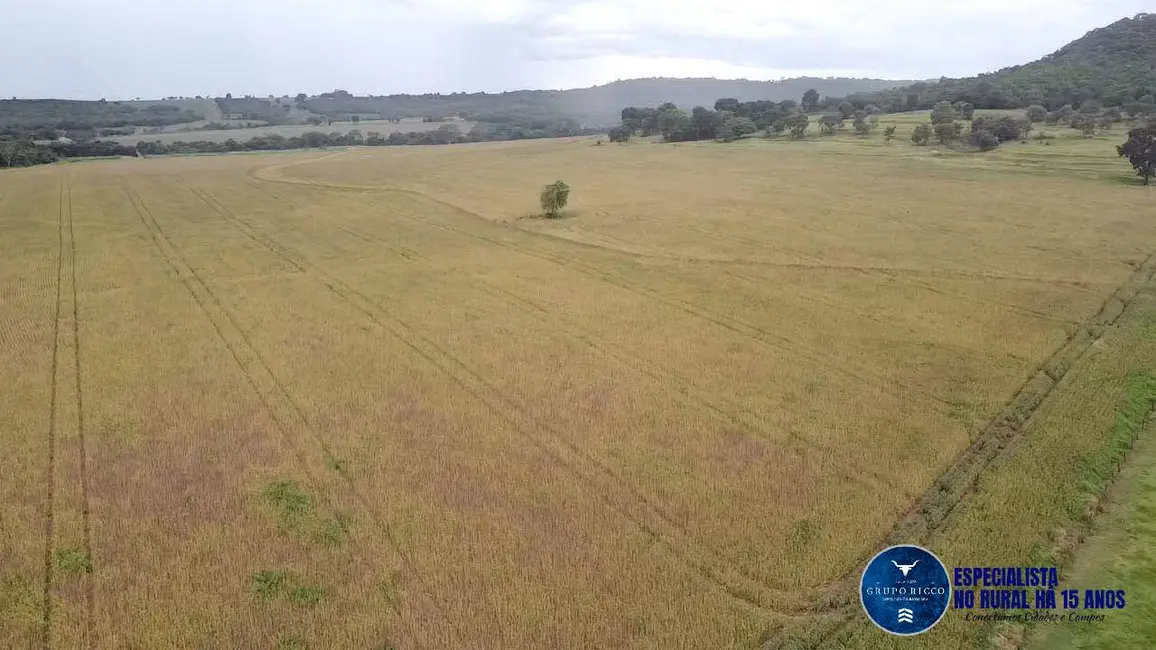 Fazenda / Haras à venda, 116m2 em Rio Verde - GO - imagem 4 Foto 4 de Fazenda / Haras à venda, 116m2 em Rio Verde - GO