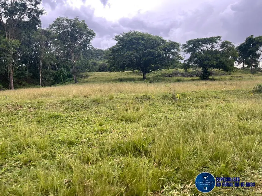 Fazenda / Haras à venda, 116m2 em Rio Verde - GO - imagem 9 Foto 9 de Fazenda / Haras à venda, 116m2 em Rio Verde - GO