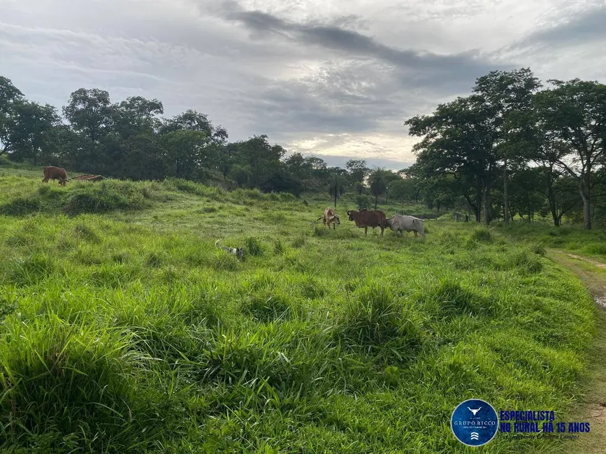 Foto 9 de Chácara à venda, 12m2 em Campestre De Goias - GO