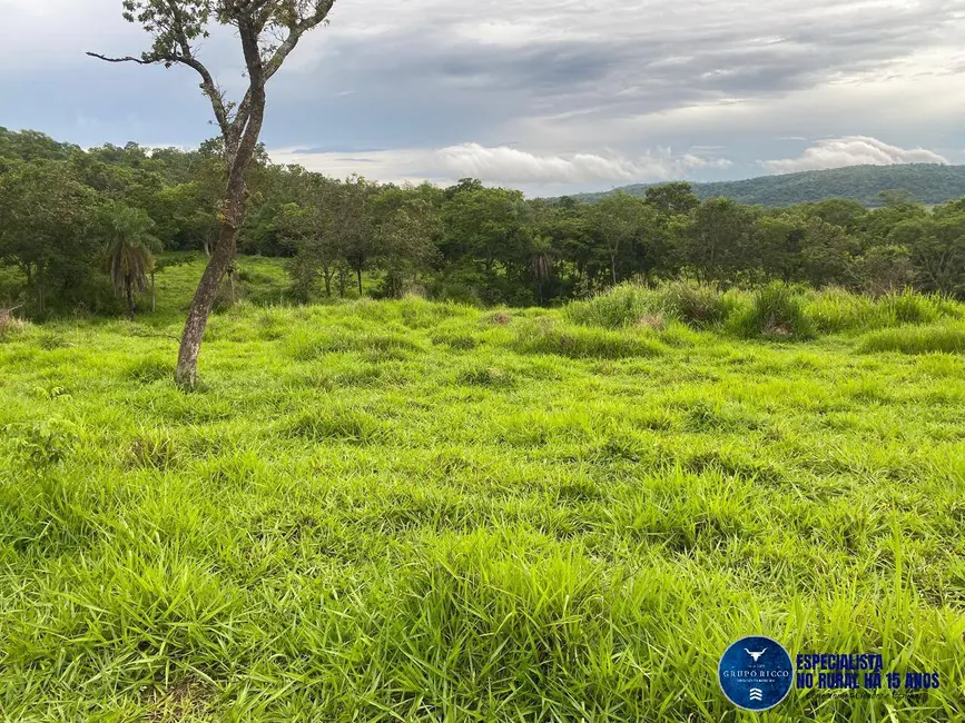 Foto 1 de Chácara à venda, 12m2 em Campestre De Goias - GO