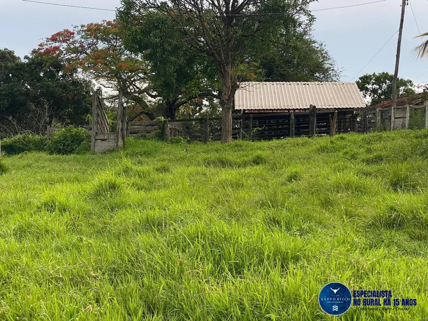 Foto 3 de Chácara à venda, 12m2 em Campestre De Goias - GO