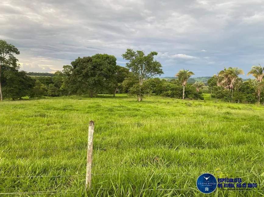Foto 6 de Chácara à venda, 12m2 em Campestre De Goias - GO