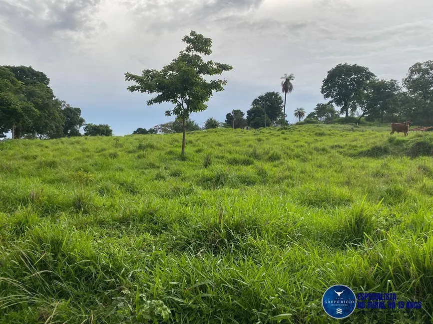 Foto 7 de Chácara à venda, 12m2 em Campestre De Goias - GO