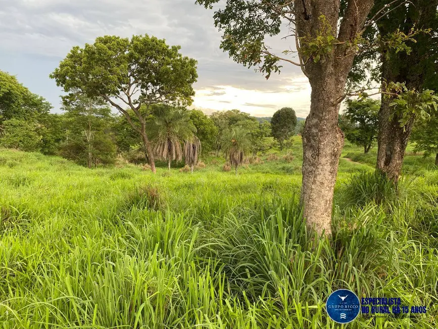 Foto 8 de Chácara à venda, 12m2 em Campestre De Goias - GO