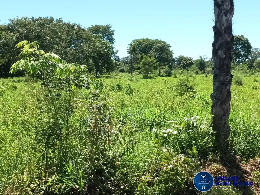 Foto 5 de Fazenda / Haras à venda, 200m2 em Uirapuru - GO