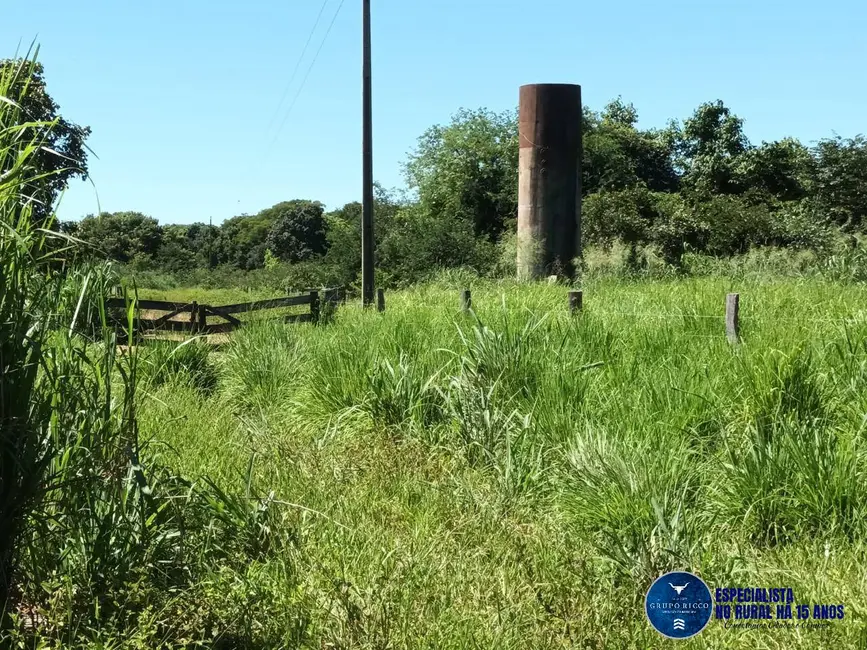 Foto 4 de Fazenda / Haras à venda, 200m2 em Uirapuru - GO