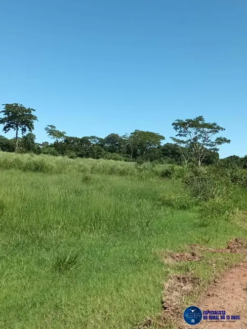 Foto 7 de Fazenda / Haras à venda, 200m2 em Uirapuru - GO