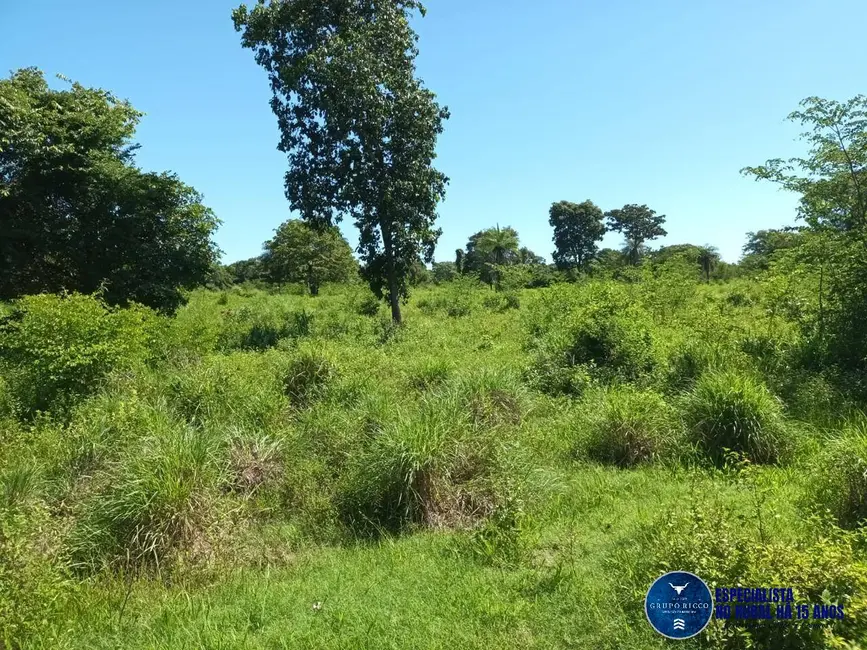 Foto 1 de Fazenda / Haras à venda, 200m2 em Uirapuru - GO