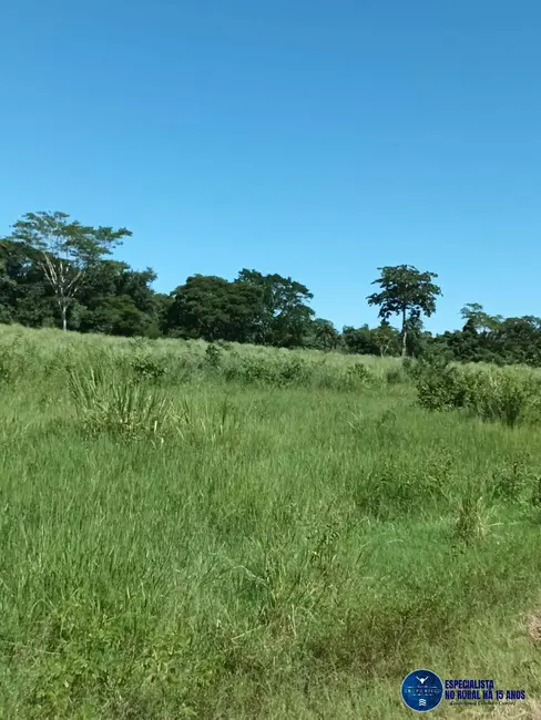 Foto 3 de Fazenda / Haras à venda, 200m2 em Uirapuru - GO