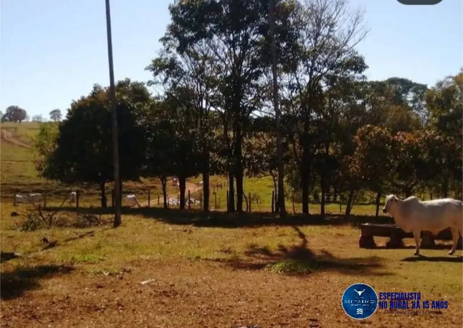 Foto 9 de Chácara à venda, 14m2 em Pirenopolis - GO