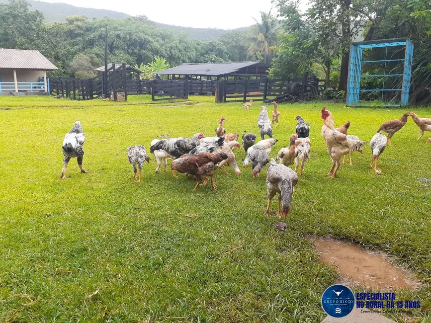 Foto 7 de Chácara à venda, 14m2 em Pirenopolis - GO