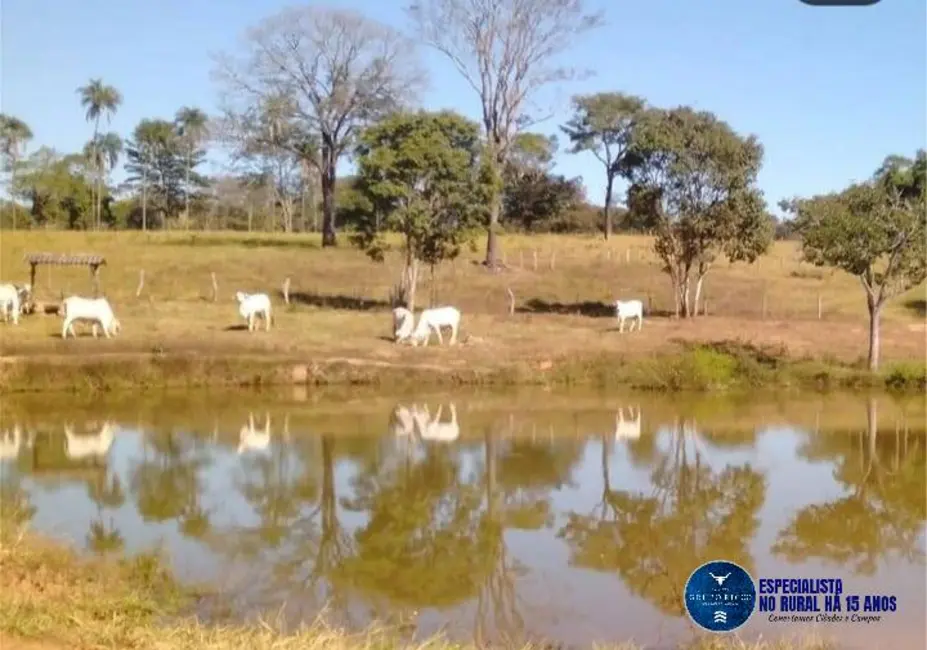 Foto 6 de Chácara à venda, 14m2 em Pirenopolis - GO