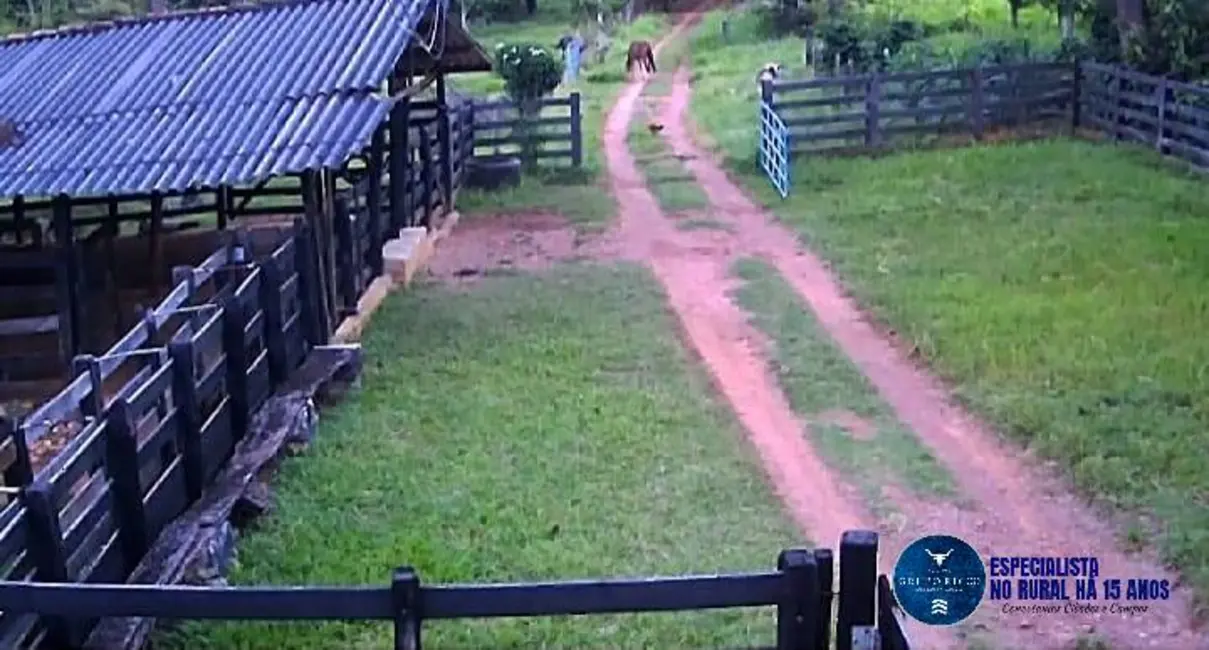 Foto 8 de Chácara à venda, 14m2 em Pirenopolis - GO