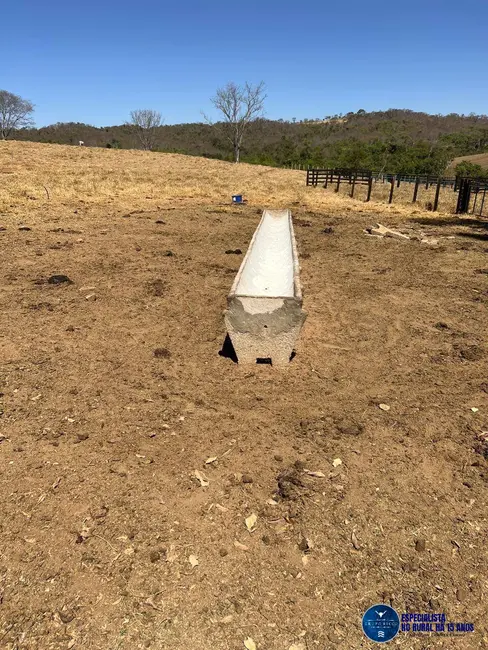 Fazenda / Haras à venda, 92m2 em Cristianopolis - GO - imagem 8 Foto 8 de Fazenda / Haras à venda, 92m2 em Cristianopolis - GO