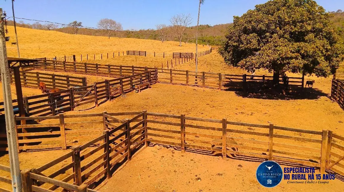 Foto 2 de Fazenda / Haras à venda, 92m2 em Cristianopolis - GO