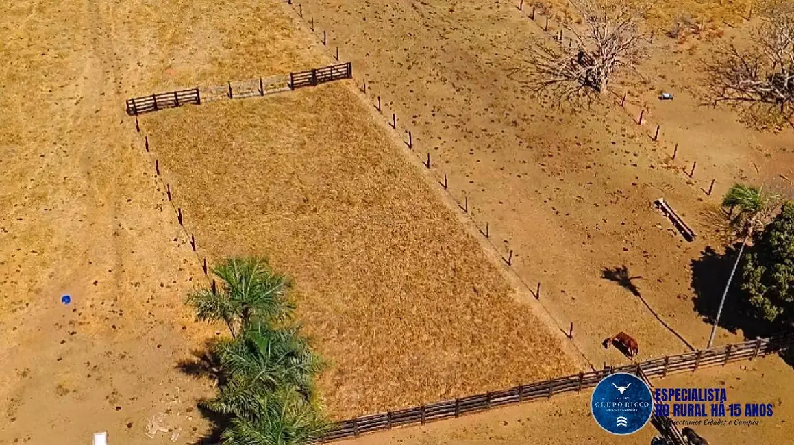 Foto 1 de Fazenda / Haras à venda, 92m2 em Cristianopolis - GO