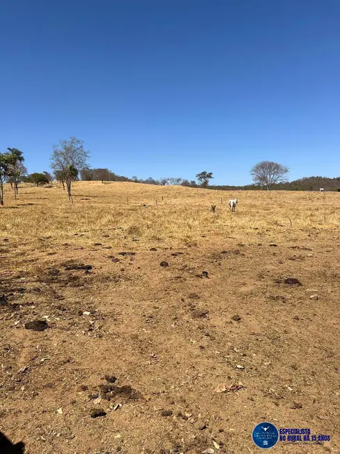 Fazenda / Haras à venda, 92m2 em Cristianopolis - GO - imagem 5 Foto 5 de Fazenda / Haras à venda, 92m2 em Cristianopolis - GO