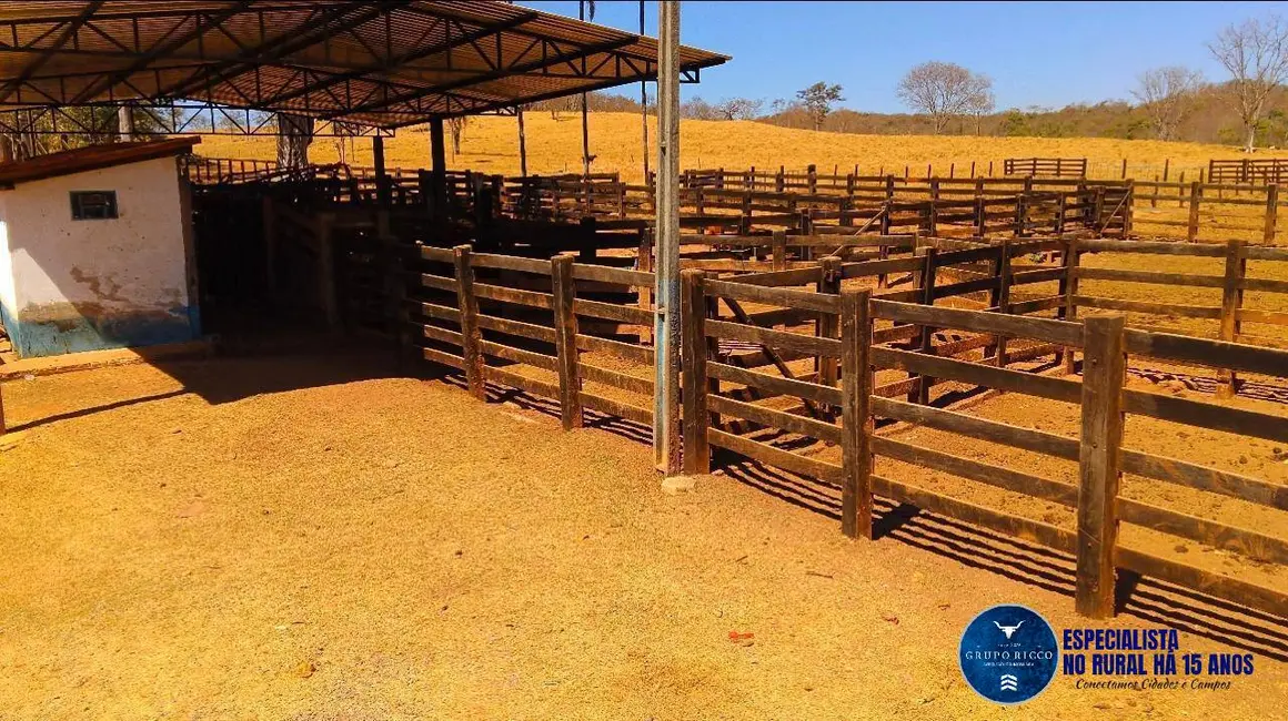 Fazenda / Haras à venda, 92m2 em Cristianopolis - GO - imagem 4 Foto 4 de Fazenda / Haras à venda, 92m2 em Cristianopolis - GO