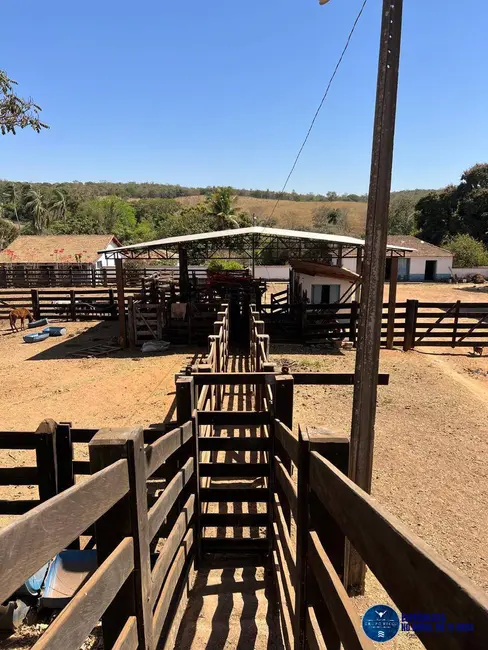 Fazenda / Haras à venda, 92m2 em Cristianopolis - GO - imagem 7 Foto 7 de Fazenda / Haras à venda, 92m2 em Cristianopolis - GO