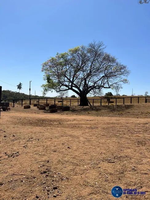 Fazenda / Haras à venda, 92m2 em Cristianopolis - GO - imagem 9 Foto 9 de Fazenda / Haras à venda, 92m2 em Cristianopolis - GO