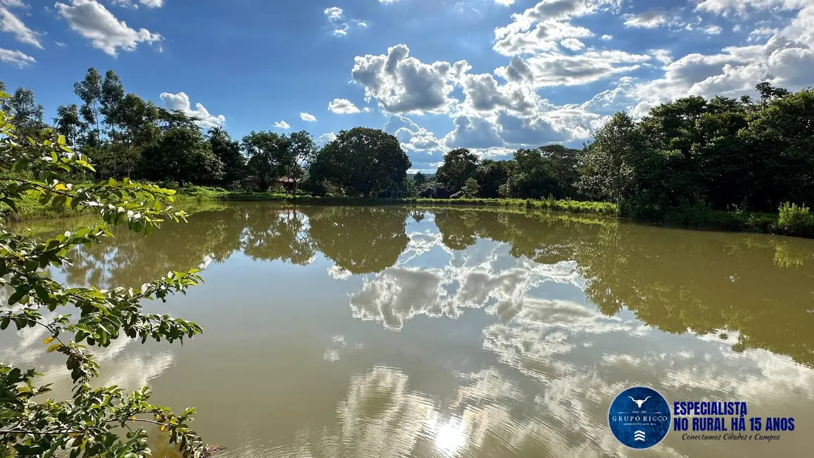 Foto 6 de Chácara à venda em Sao Miguel Do Passa Quatro - GO