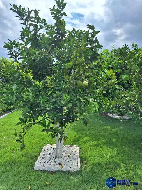 Foto 4 de Chácara com 3 quartos à venda, 2060m2 em Neropolis - GO