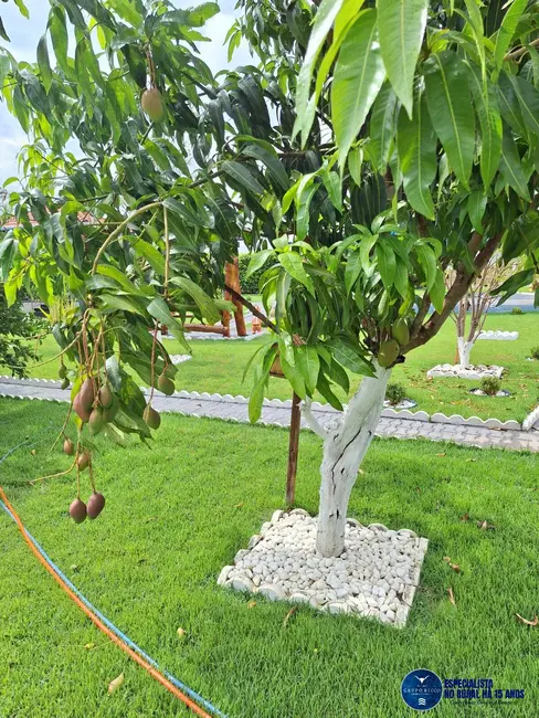 Foto 8 de Chácara com 3 quartos à venda, 2060m2 em Neropolis - GO