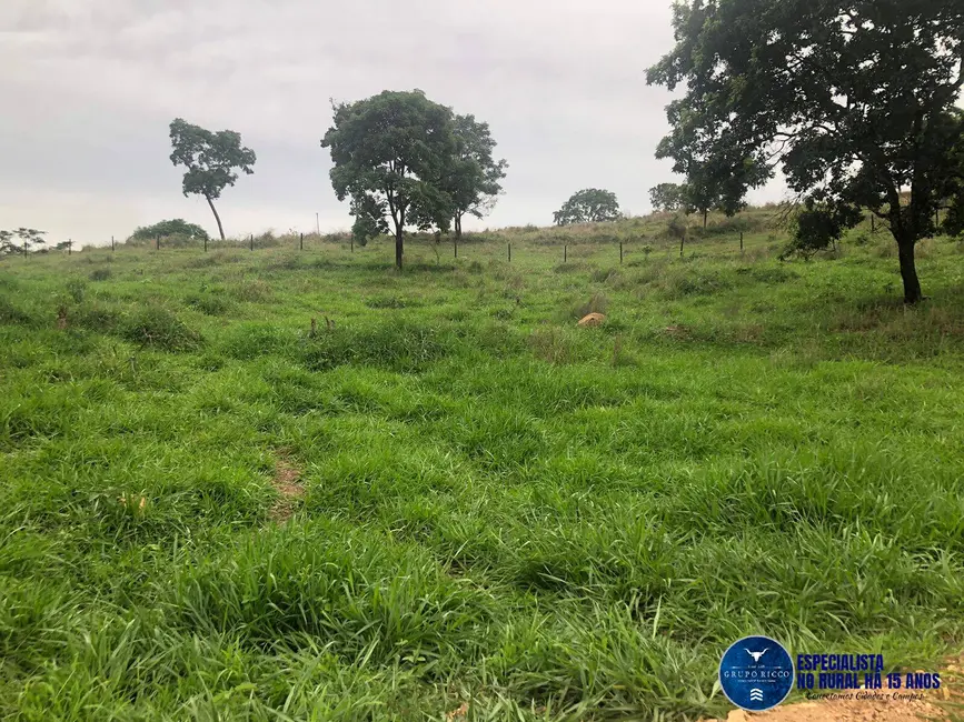 Foto 1 de Fazenda / Haras à venda, 240m2 em Marzagao - GO