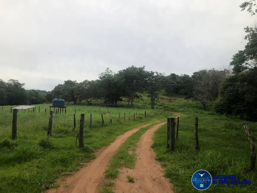 Foto 2 de Fazenda / Haras à venda, 240m2 em Marzagao - GO