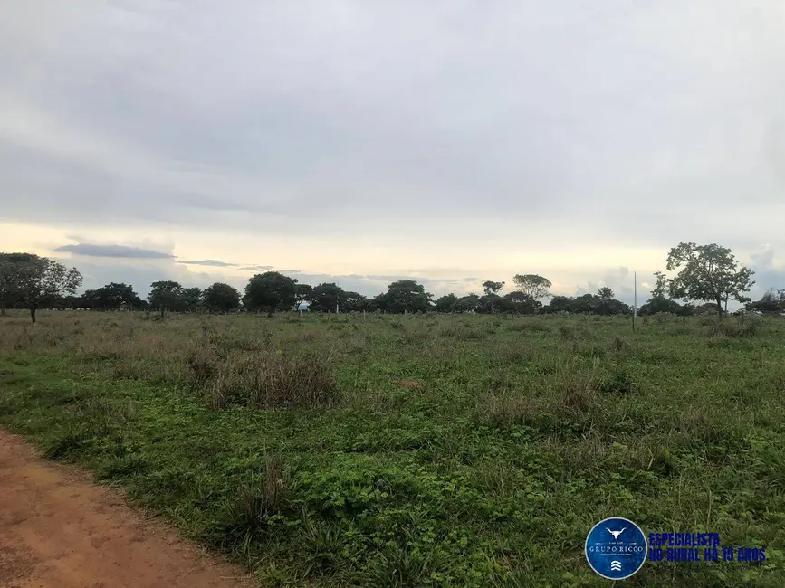 Foto 3 de Fazenda / Haras à venda, 240m2 em Marzagao - GO