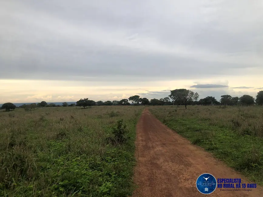 Foto 7 de Fazenda / Haras à venda, 240m2 em Marzagao - GO