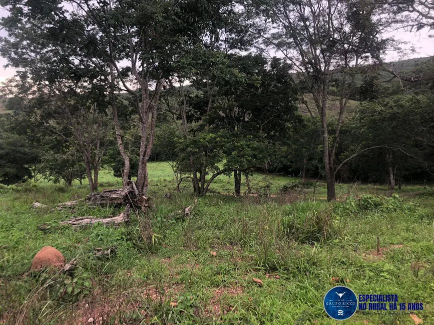 Foto 8 de Fazenda / Haras à venda, 240m2 em Marzagao - GO