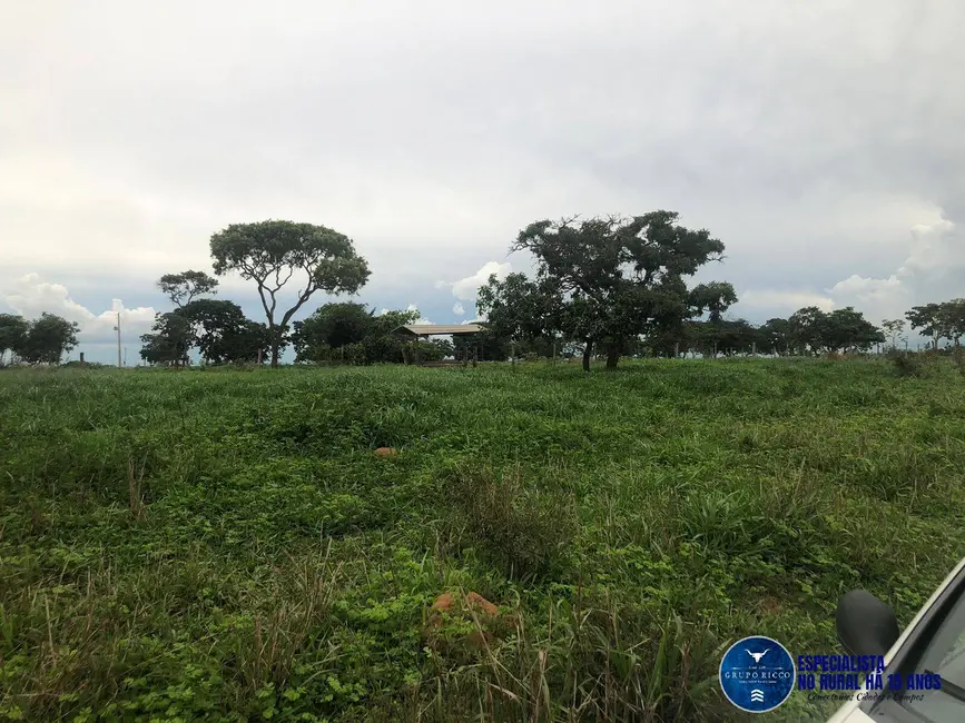 Foto 4 de Fazenda / Haras à venda, 240m2 em Marzagao - GO