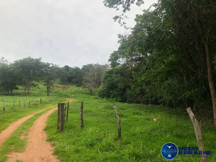 Foto 6 de Fazenda / Haras à venda, 240m2 em Marzagao - GO