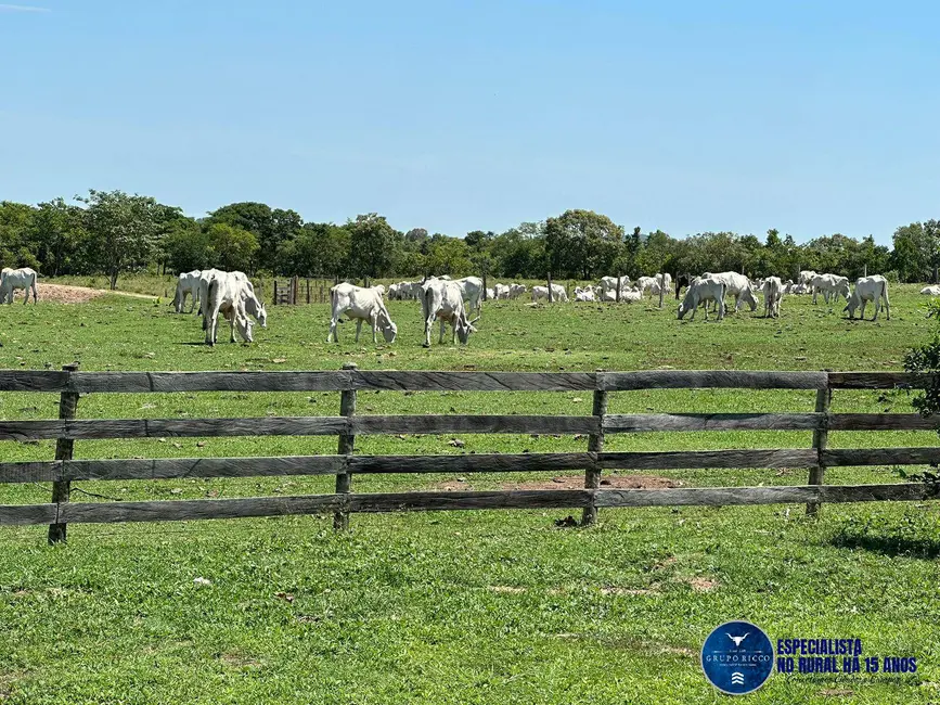 Foto 2 de Fazenda / Haras à venda, 100m2 em Araguapaz - GO