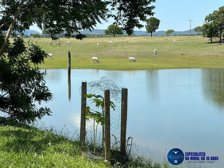 Foto 8 de Fazenda / Haras à venda, 100m2 em Araguapaz - GO