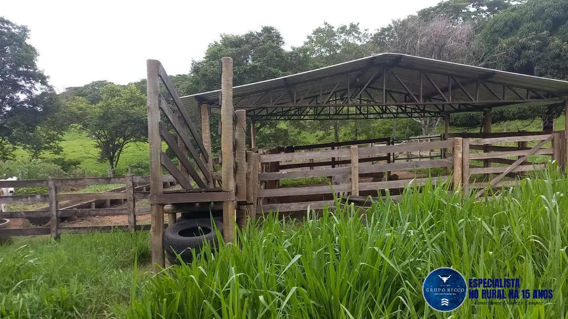 Foto 3 de Chácara com 3 quartos à venda em Itaberai - GO