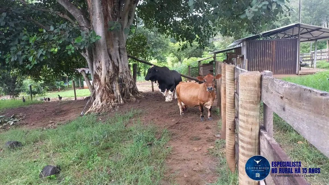 Foto 7 de Chácara com 3 quartos à venda em Itaberai - GO