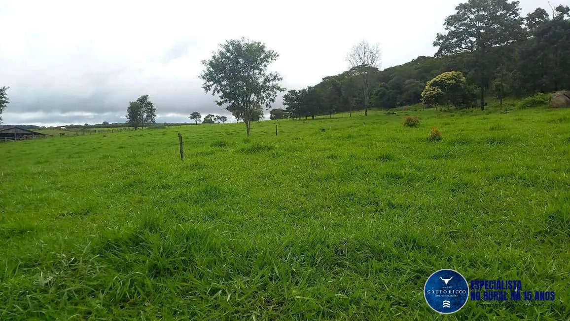 Foto 4 de Chácara com 3 quartos à venda em Itaberai - GO