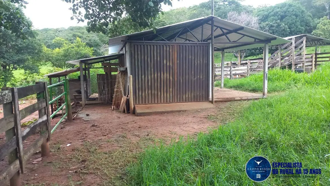 Foto 6 de Chácara com 3 quartos à venda em Itaberai - GO