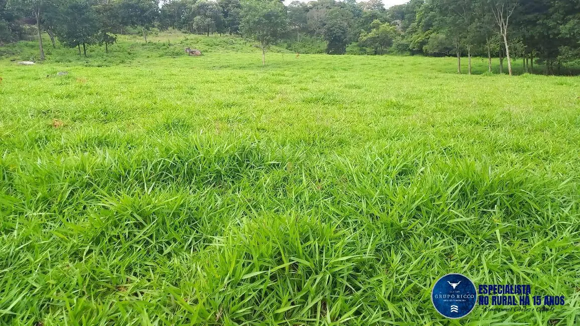 Foto 2 de Chácara à venda em Itaberai - GO