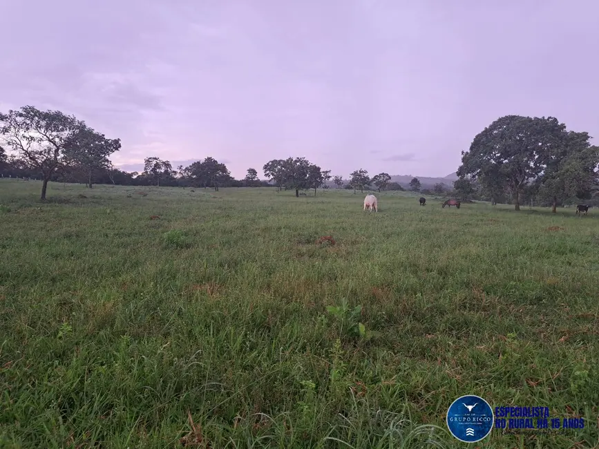Foto 8 de Chácara com 3 quartos à venda, 10m2 em Itapuranga - GO