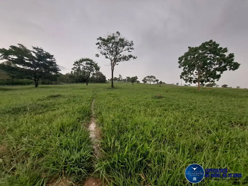 Foto 7 de Chácara com 3 quartos à venda, 10m2 em Itapuranga - GO