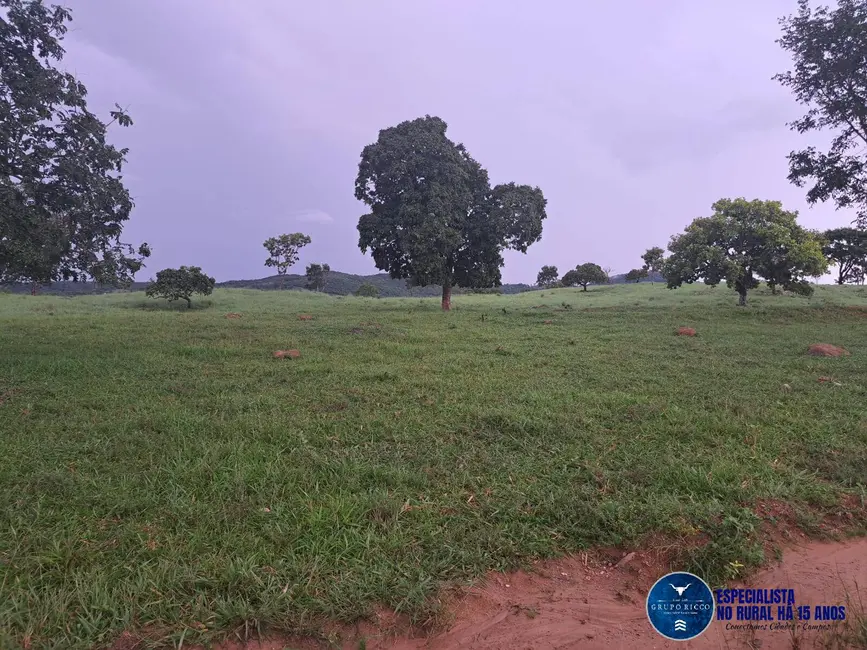 Foto 1 de Chácara à venda, 10m2 em Itapuranga - GO