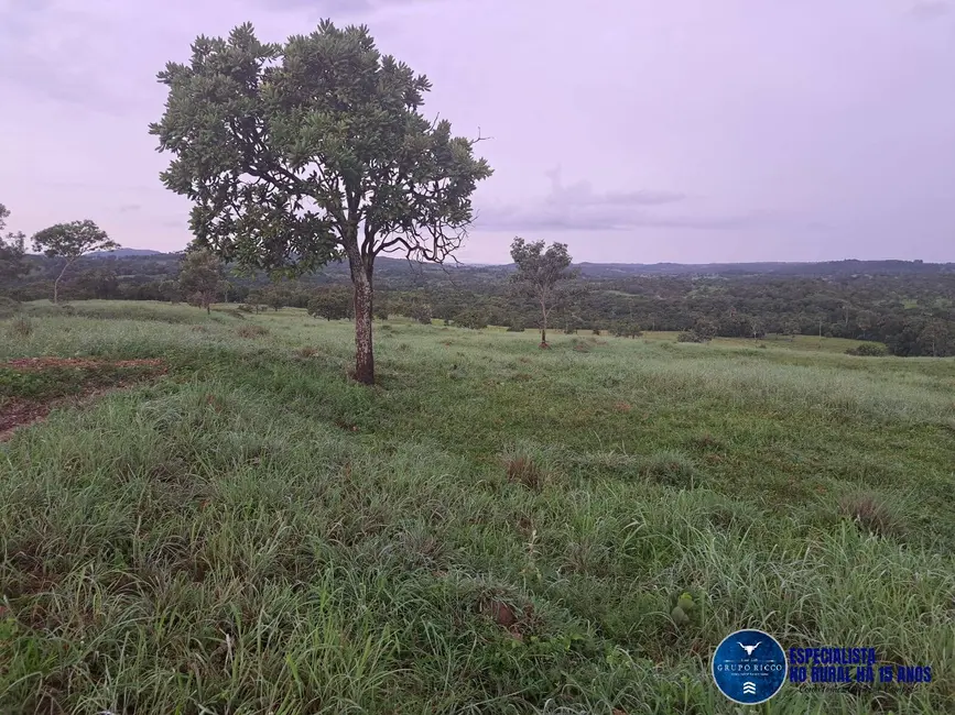 Foto 5 de Chácara com 3 quartos à venda, 10m2 em Itapuranga - GO