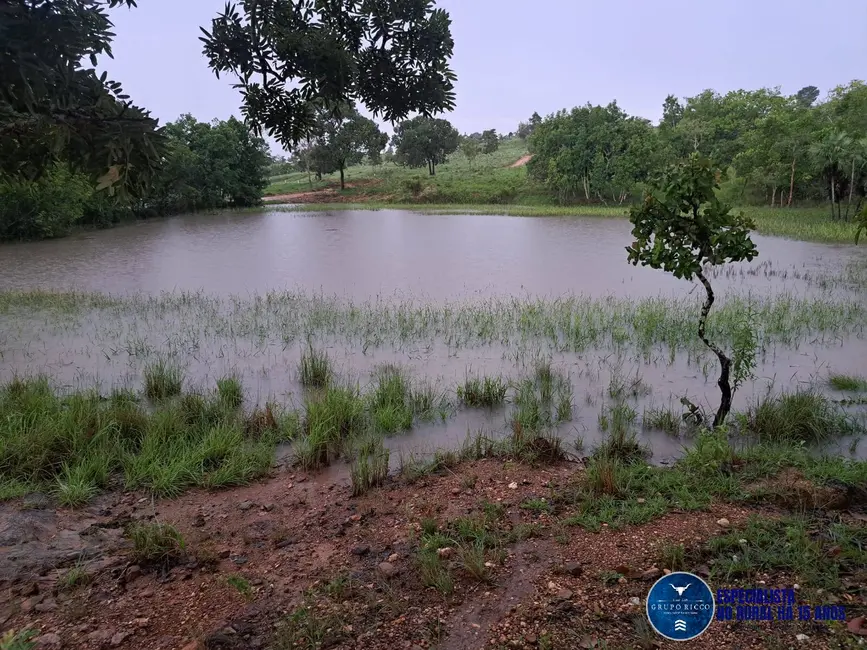 Foto 2 de Chácara à venda, 10m2 em Itapuranga - GO
