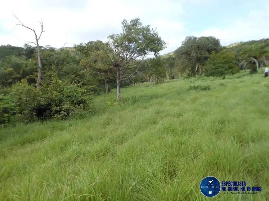 Foto 2 de Fazenda / Haras à venda, 57m2 em Mozarlandia - GO
