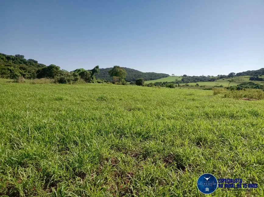 Foto 4 de Fazenda / Haras à venda, 62m2 em Edealina - GO