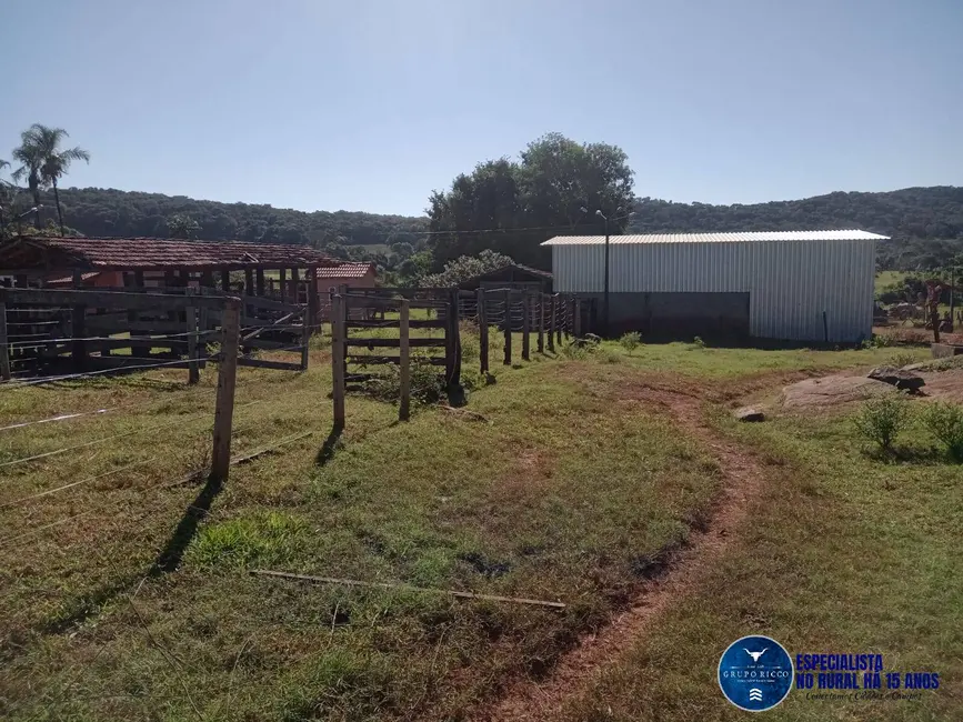 Foto 2 de Fazenda / Haras à venda, 62m2 em Edealina - GO