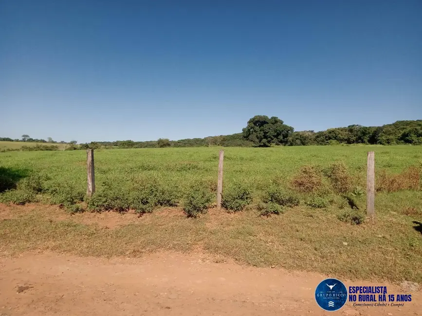 Foto 3 de Fazenda / Haras à venda, 62m2 em Edealina - GO